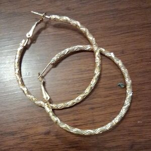 Elegant Gold Hoop Earrings